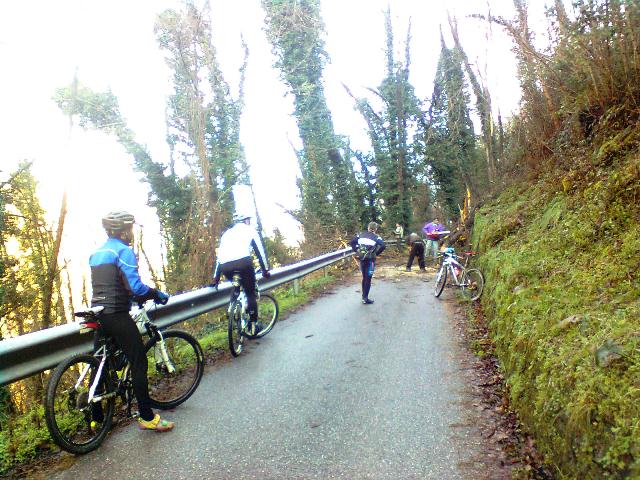 Sassi ed alberi lungo la strada